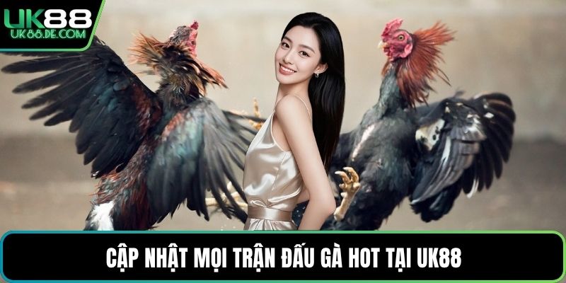 Cập nhật mọi trận đấu gà hot tại UK88 