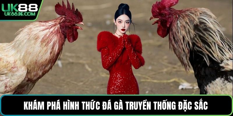 Khám phá hình thức đá gà truyền thống đặc sắc 